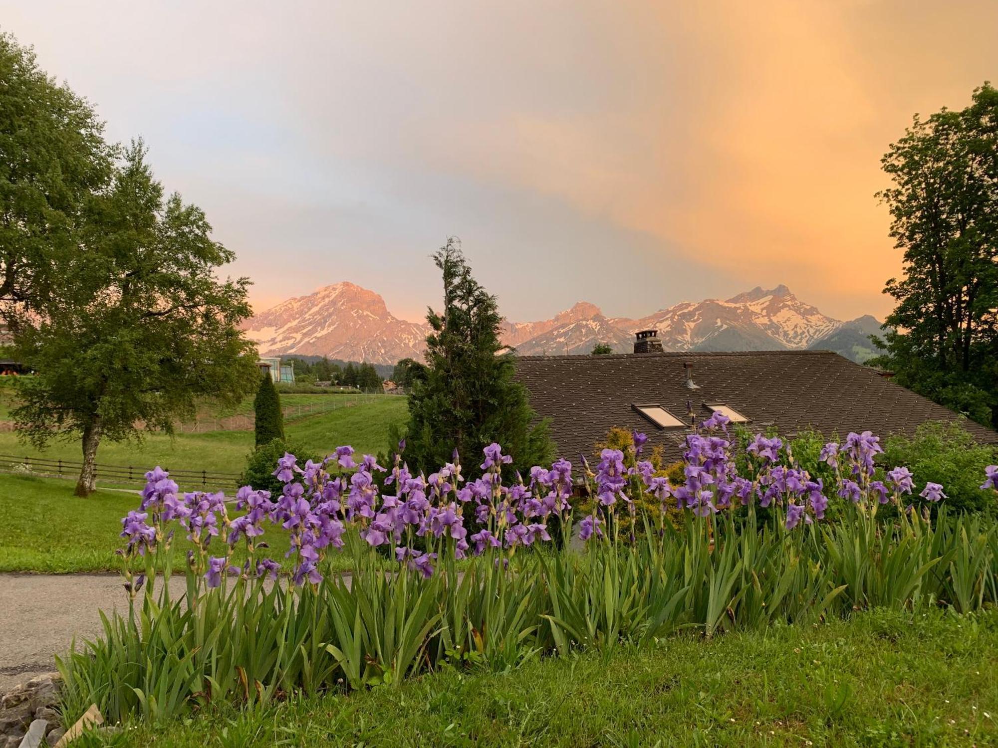 Chalet La Renarde Villars-sur-Ollon Szoba fotó