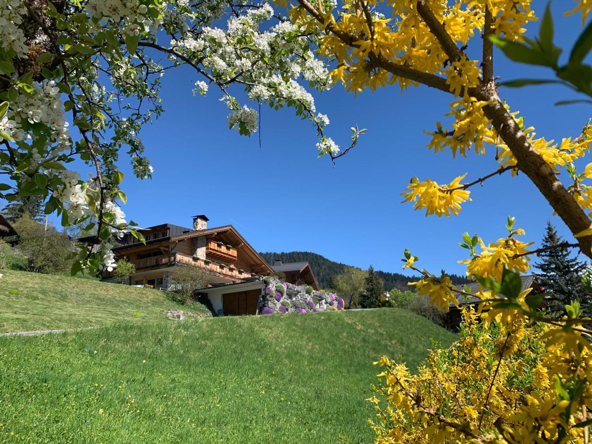 Chalet La Renarde Villars-sur-Ollon Kültér fotó