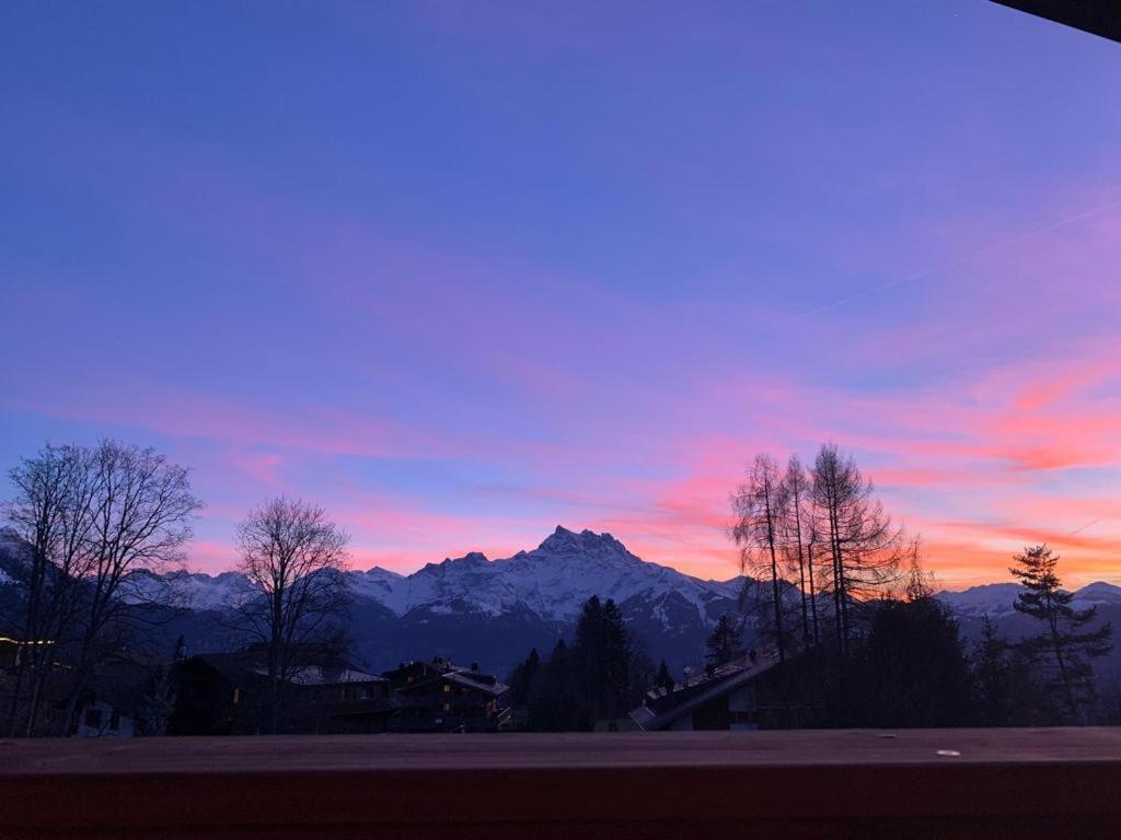 Chalet La Renarde Villars-sur-Ollon Kültér fotó